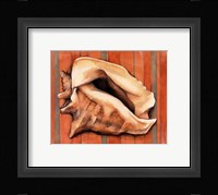 Shell on Stripes I Framed Print