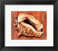 Shell on Stripes I Fine Art Print