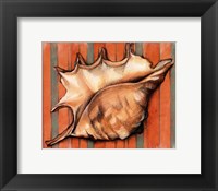 Shell on Stripes II Fine Art Print
