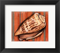 Shell on Stripes III Fine Art Print