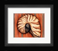 Shell on Stripes IV Framed Print