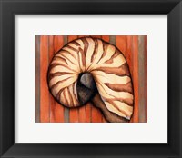Shell on Stripes IV Fine Art Print