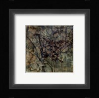 Small Ethereal Wings VI Framed Print