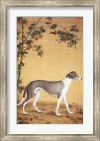 Greyhound by Bamboo Fine Art Print