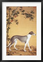 Greyhound by Bamboo Fine Art Print