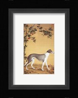 Greyhound by Bamboo Fine Art Print