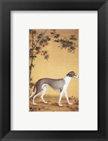 Greyhound by Bamboo Fine Art Print