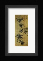 Gu An Ink Bamboo Framed Print