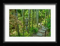 Hasedera-Bamboo Grove Fine Art Print