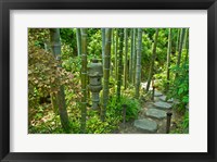 Hasedera-Bamboo Grove Fine Art Print