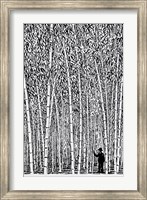 Man and Bamboo Fine Art Print