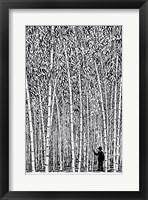 Man and Bamboo Fine Art Print
