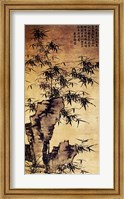 Xia Chang-Bamboo and Stone Fine Art Print