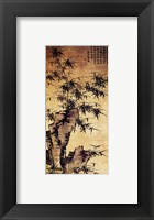 Xia Chang-Bamboo and Stone Framed Print