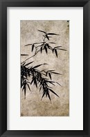 Xia Chang- Ink Bamboo Fine Art Print