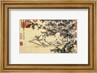 Xuande Bamboo Fine Art Print