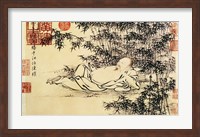 Xuande Bamboo Fine Art Print