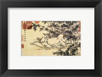 Xuande Bamboo Fine Art Print