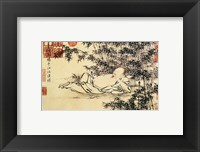 Xuande Bamboo Fine Art Print