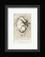 William Hunter Fine Art Print