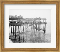 Hauling the Nets, Young's Pier, Atlantic City, NJ Fine Art Print