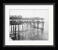 Hauling the Nets, Young's Pier, Atlantic City, NJ Framed Print