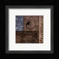 Coastal Inspiration V Framed Print