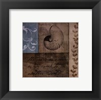 Coastal Inspiration V Framed Print
