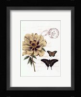 Small Vintage Floral II Framed Print