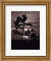 Palms At Night I Fine Art Print