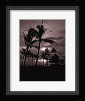 Palms At Night I Framed Print