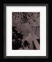 Skyrise View III Framed Print