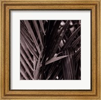 Bamboo Study I Fine Art Print