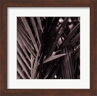 Bamboo Study I Fine Art Print