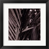 Bamboo Study I Fine Art Print