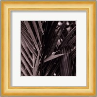 Bamboo Study I Fine Art Print