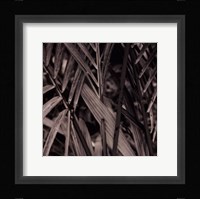 Bamboo Study II Framed Print