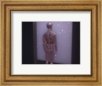 Rear view of a human skeleton Fine Art Print