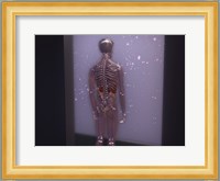 Rear view of a human skeleton Fine Art Print