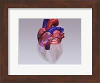 Close-up of a human heart with flow model Fine Art Print
