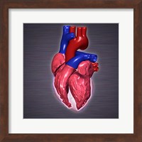 Close-up of a human heart Fine Art Print