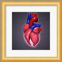 Close-up of a human heart Fine Art Print