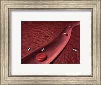 Close-up of red blood cells Fine Art Print