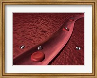 Close-up of red blood cells Fine Art Print