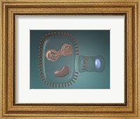 Close-up of antigens produced in the human cell Fine Art Print