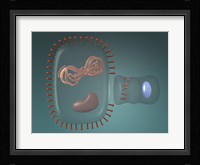 Close-up of antigens produced in the human cell Fine Art Print