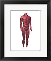 Close-up of human muscles Fine Art Print