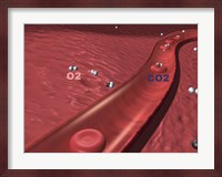 Close-up of the atoms of oxygen and carbon dioxide in human blood platelets Fine Art Print
