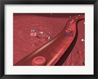 Close-up of the atoms of oxygen and carbon dioxide in human blood platelets Fine Art Print
