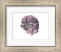 Close-up of a human brain with eye balls Fine Art Print